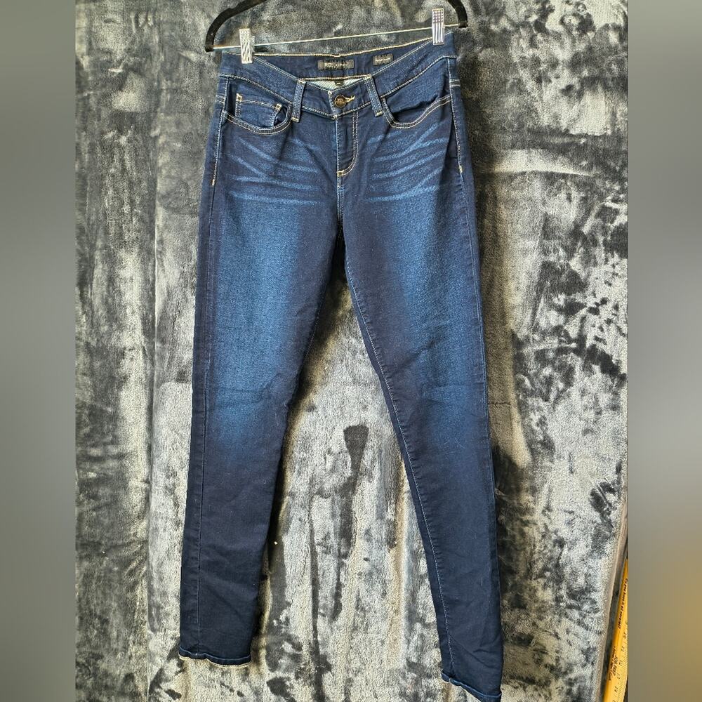 BKE Indigo Payton  Skinny Jeans 29 x 32